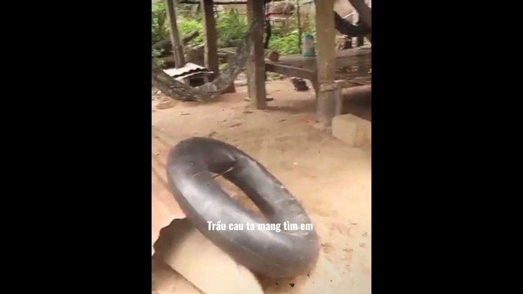 Soi Cầu Quy Hoạch Vũng Tàu Ở Đầu 1 soi cau quy hoach vung tau o dau 64a913bba421a - Richstar Tân Phú