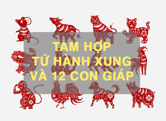Chọn Cây Phong Thủy Hợp Tuổi Để Tăng Cường Tài Lộc và May Mắn 1 Chọn Cây Phong Thủy Hợp Tuổi Để Tăng Cường Tài Lộc và May Mắn